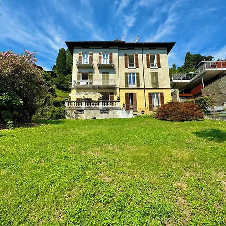 Giardino Floreale Di Appartement